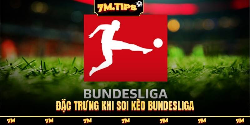 Đặc trưng khi soi kèo Bundesliga
