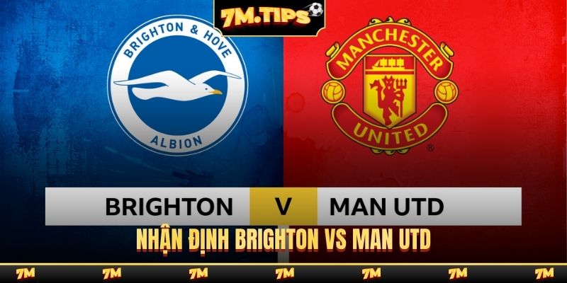 Nhận định Brighton vs Man Utd, 22h00, 24/05, EPL vòng 38
