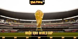 nhận định World Cup