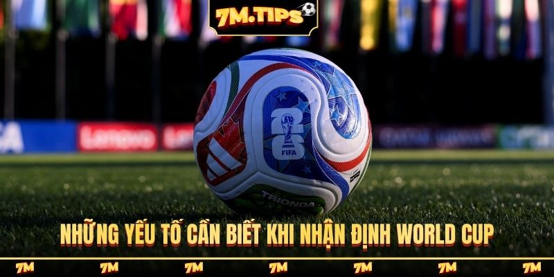 Những yếu tố cần biết khi nhận định World Cup